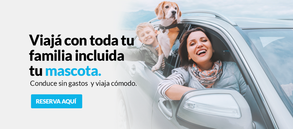 Baner Car rental persona